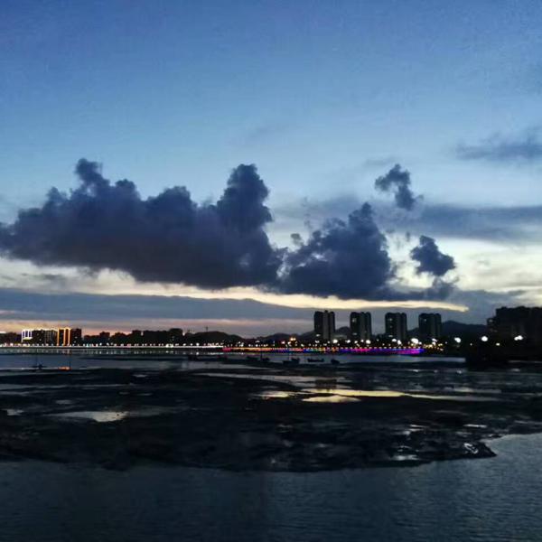 我爱上你不是因为你给了我我所需要的东西