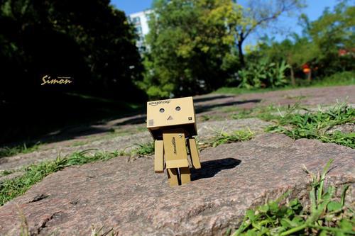 我爱你所爱的死心