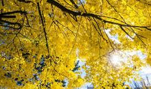 秋游表达同学们开心的句子