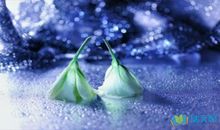 说说伤感到心痛的句子大全