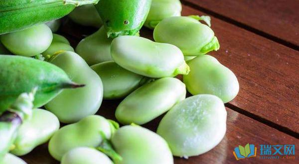 蚕豆花不宜过大