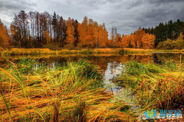 引言:秋天的田野
