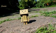 对工作环境失望的句子