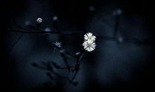 你对父母特别失望的句子