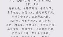 关于端午节的好句