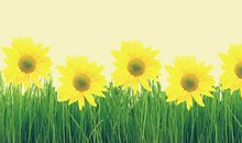 积极乐观的句子