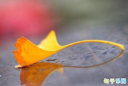 漂浮的生活就像一场梦