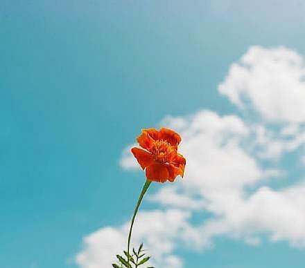 编辑整理了一些积极而快乐的句子来表达您的感受