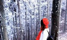 看到雪好开心的句子