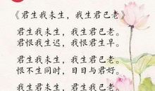 爱情抒情诗大全