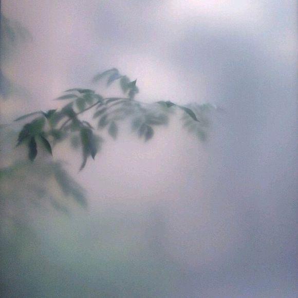 镀银的月亮散布着明亮的月光