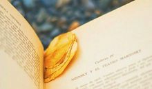 适合一年级小朋友写的好句子