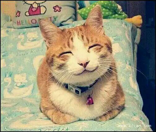 弯出窗户的新月像菊花瓣