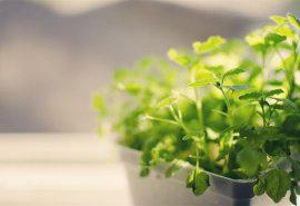 请欣赏编辑所编成的关于情感的十五句话