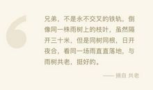 《目送》中的优美句子