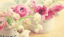 努力过的开心句子