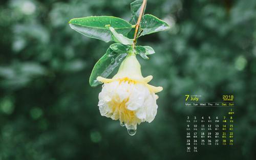 生活是为了自己的生活