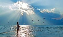 亲情母爱的优美句子