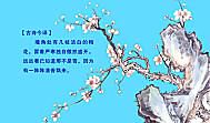 描写梅花精神的句子
