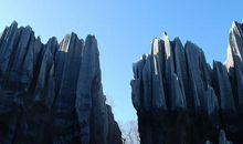 描写莲花的古诗词名句