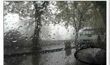 有关亲情的爱的句子