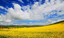 刚到一个地方很开心的句子