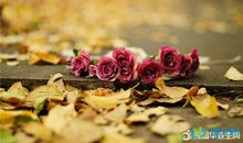 关于保持初心的句子