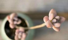 文艺唯美的句子：青春本来就是马不停蹄的相遇和错过