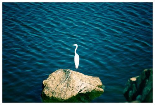 反对环境的快乐句子是什么