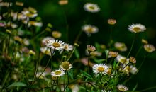 开心工作的正能量句子