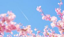 经典情感语录：那些活着离开你的人没什么好留恋的