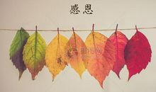 感恩的文艺的句子