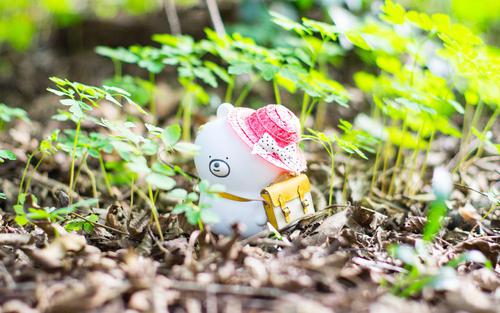 编辑已经编了一些关于很久不开心的句子