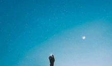 关于对婚姻失望的句子