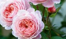 五一假期后问候短信