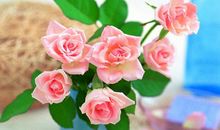 今天天气问候短信