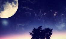 关于幸福优美句子