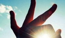 开心的句子大全集