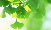 写给关于幸福的句子