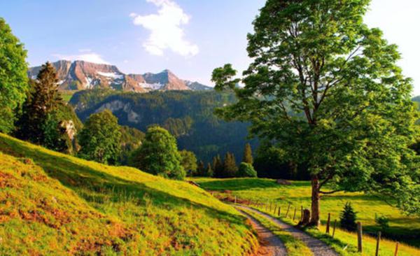 齐胜队：齐胜齐胜