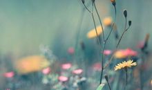 关于等待幸福的句子摘抄大全