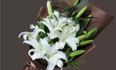 让我们看一下编辑器编写的简单而快乐的句子