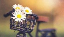 新的一天励志话 新的一天新的奋斗句子