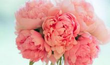 简单快乐开心的句子