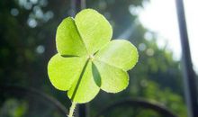 关于珍惜幸福的句子精选