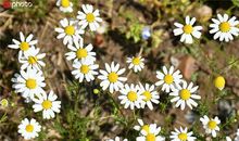 鼓励自己开心的句子