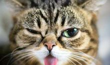 开心的句子短语