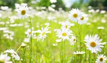 生活中不开心的句子