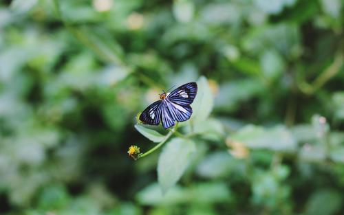 编辑整理了一些有关成为自由快乐的人的句子
