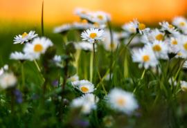 有父母的地方就有爱